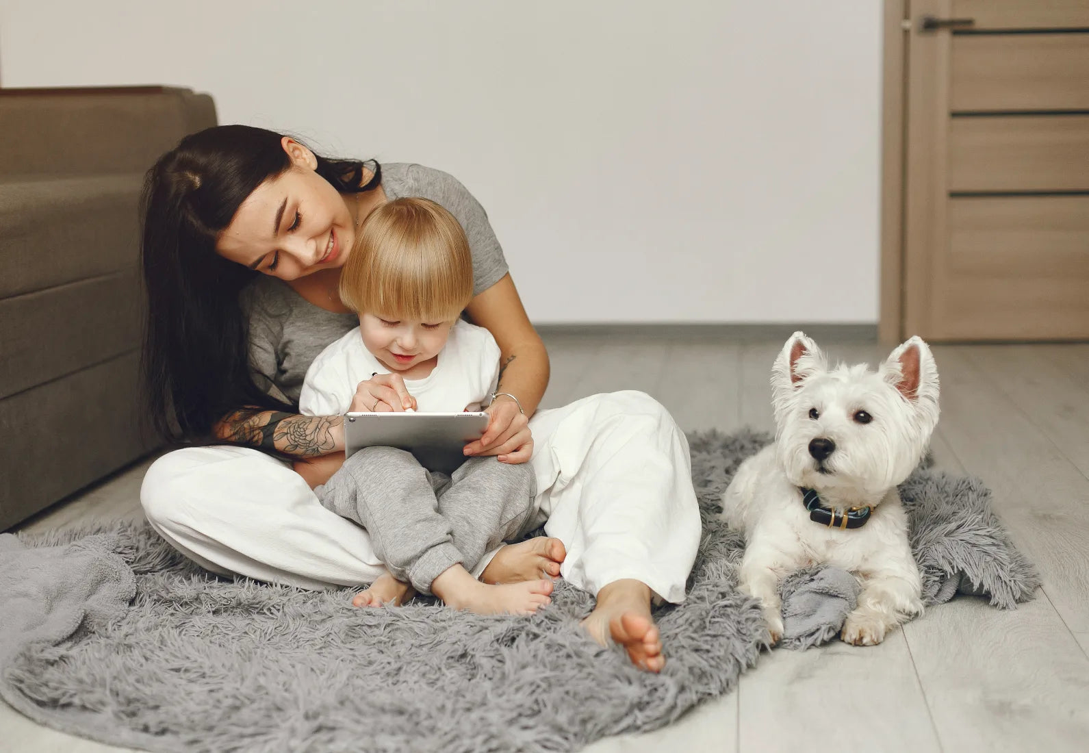 Mini Irk Köpeklere Özel Köpek Maması