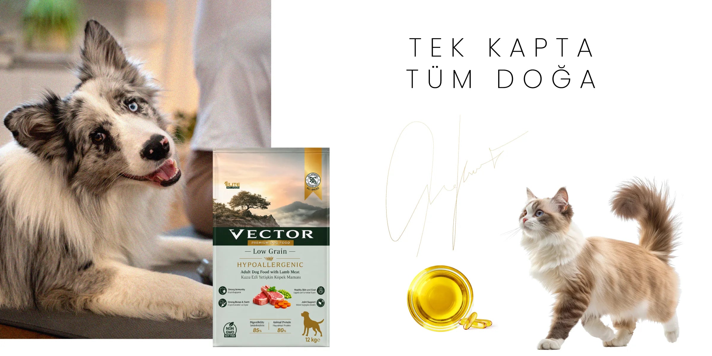 Vector Premium: Tek kapta tüm doğa